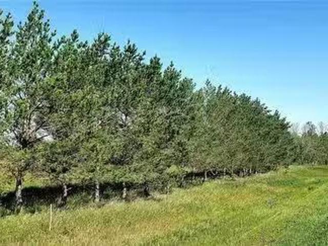 251 Agripark Road, Melville, SK, S0A 2P0 vacant land for sal.