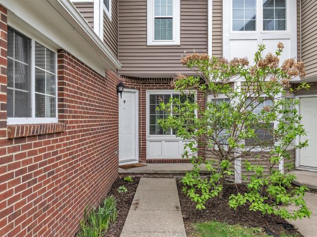 251 Fieldcrest Street