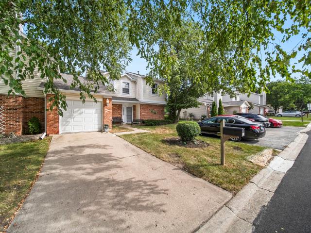 251 Tamarack Drive