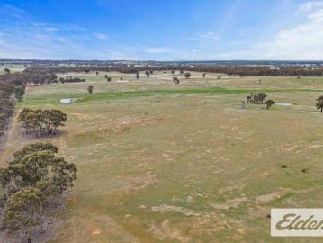252 Acres of Productive Rural Land with Endless Potential