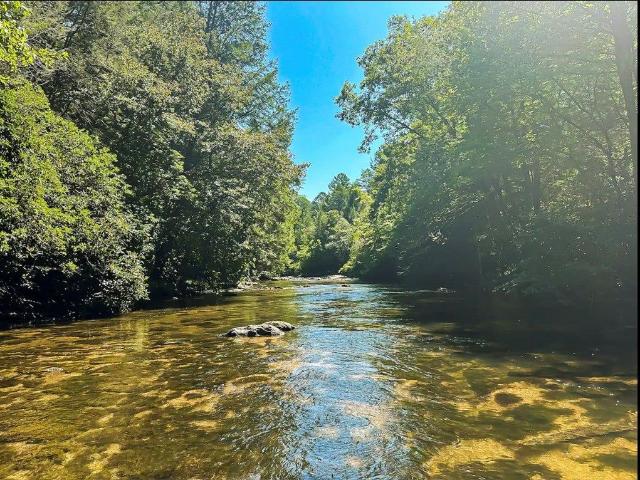 252 Branch Creek Road, Mccaysville, GA