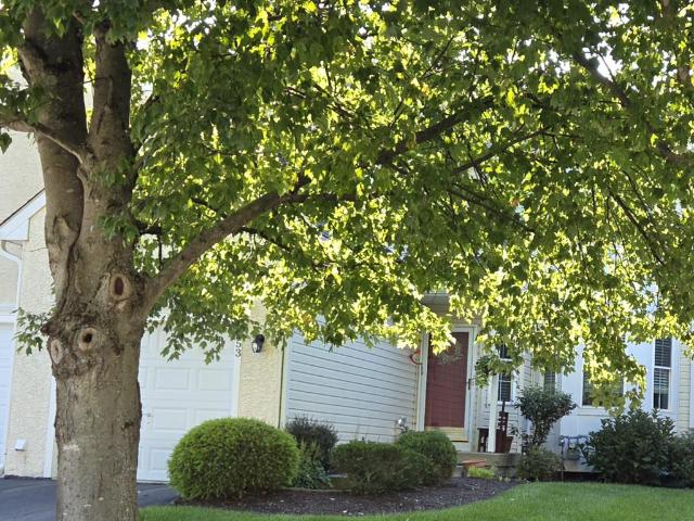 253 Avonwood Road