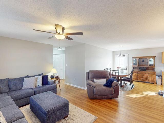 253 Dumplin Lane