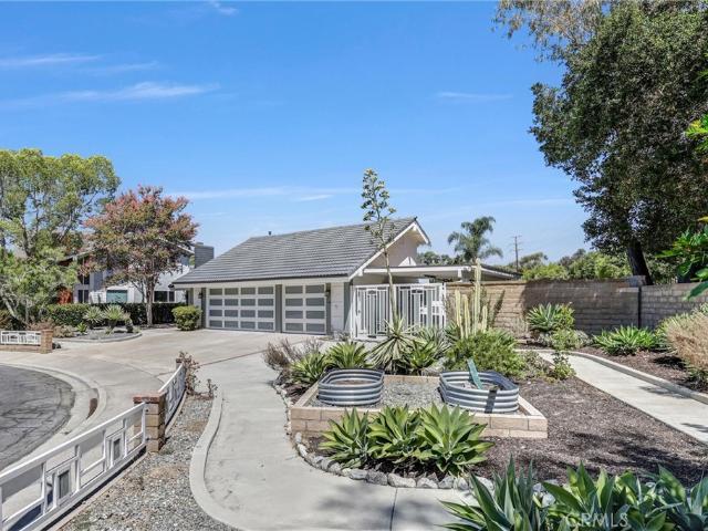 25495 Morningstar