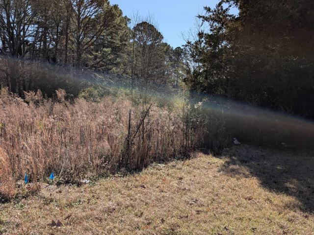 2541 Haynesville Hwy