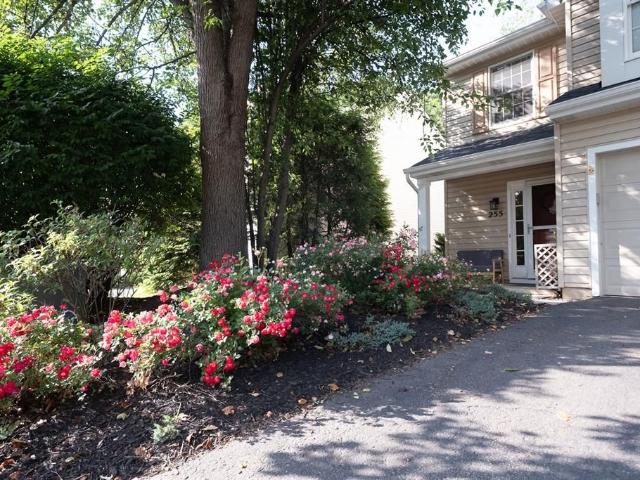 255 Commons