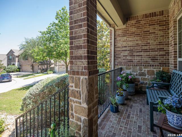 25603 Santolina