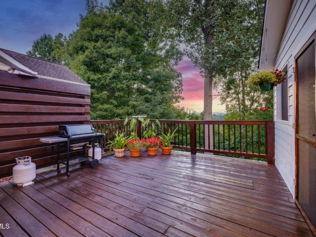 259 Alpine Trail