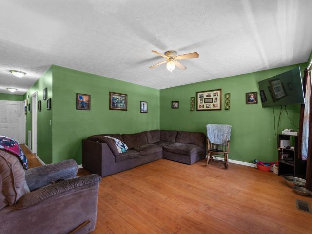 259 Mimosa Lane