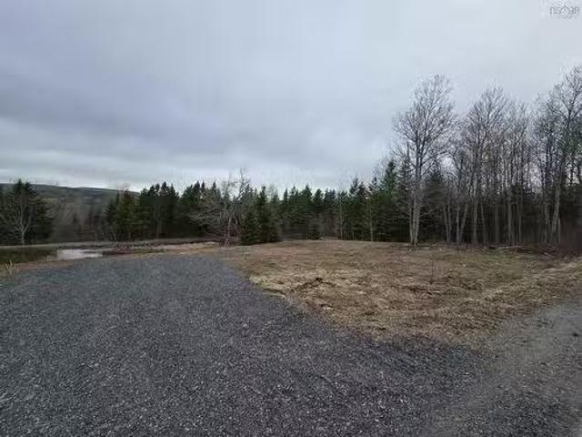 25 1 Middle River Road, Rocklin, NS, B0K 2A0 vacant land for.