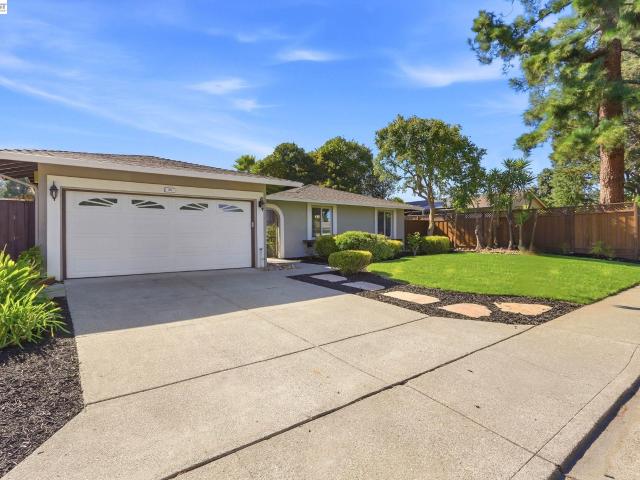 25 Tareyton Ct