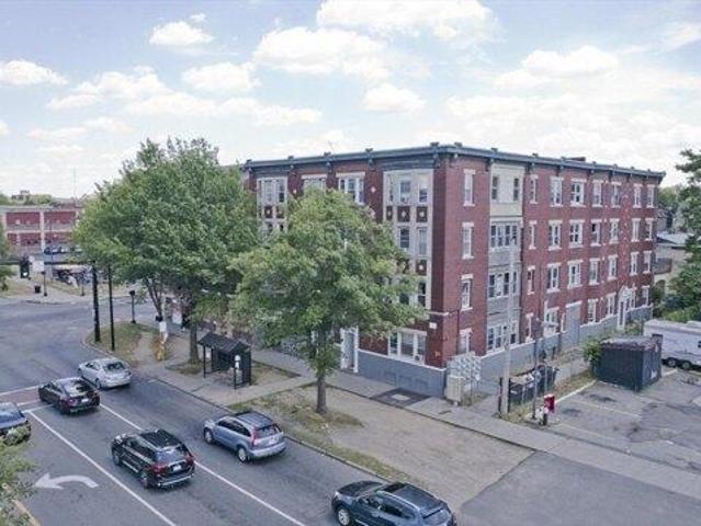 25 bedroom, Springfield MA 01109 104568302
