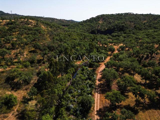 25 hectares, a 15 minutos do mar e de Melides m² Grândola e Santa Margarida da Serra