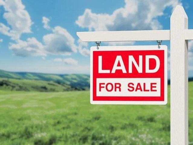 25m Frontage | 1,600m²+ Premium Land