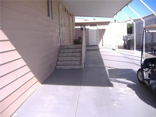26060 Queen Palm