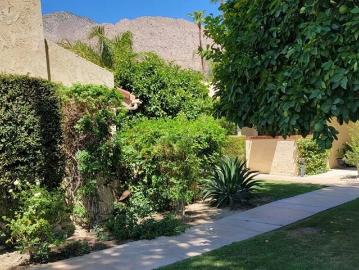 2600 S Palm Canyon Drive Unit 20, Palm Springs, US, CA
