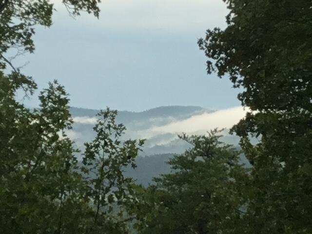 260 Deer Ridge Trail