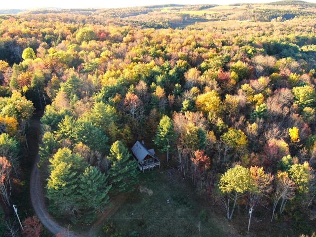 260 Log Cabin Lane