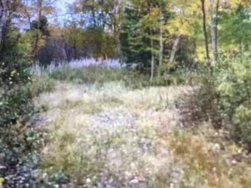 260A Main Street, Embree, NL, A0G 2B0 vacant land for sale.