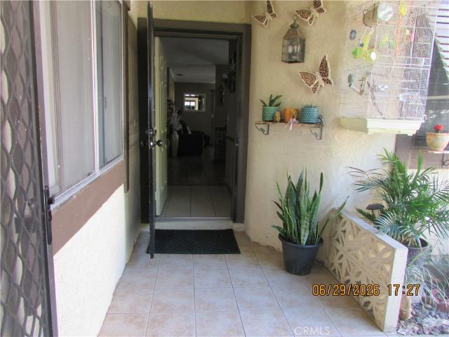 26100 Goldenwood