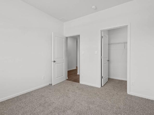 26113 S castle Boulevard