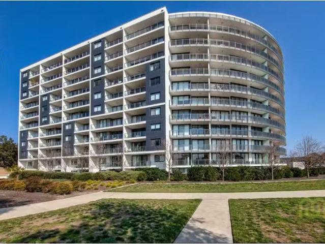 261/1 Mouat Street, Lyneham Apartment for rent Listed by Skye.