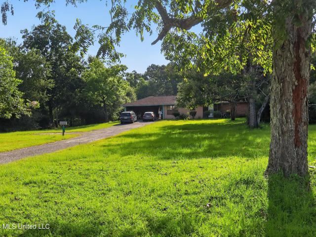26136 Highway 53