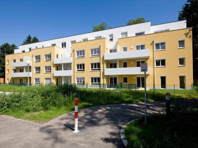2620 Neunkirchen, Dr. Stockhammergasse 11