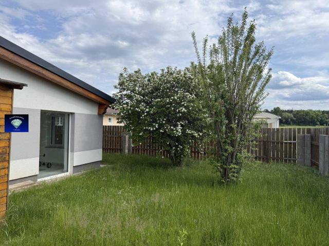 2620 Loipersbach/Natschbach tolles EFH mit 100m² Schwimmhalle 10073