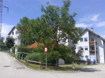 2620 Wartmannstetten