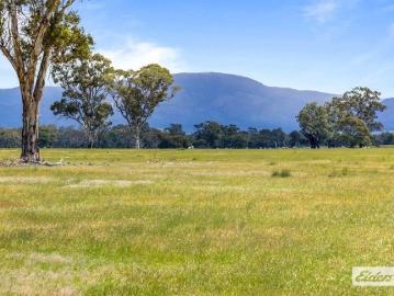 262 Acre Grazing & Lifestyle Block Spectacular Grampians Views