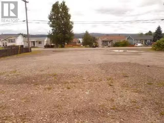 262 Main Street, Springdale, NL, A0J 1T0 vacant land for sal.