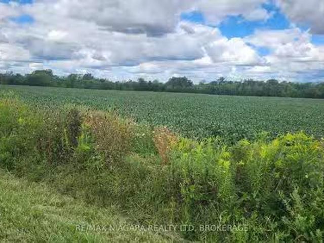 2651 Wessel Drive, Pelham Fenwick, ON, L2R 6P7 vacant land.