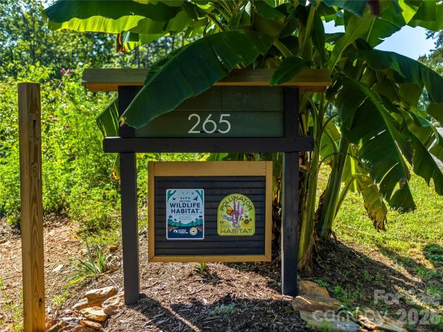 265 Idlewild Drive