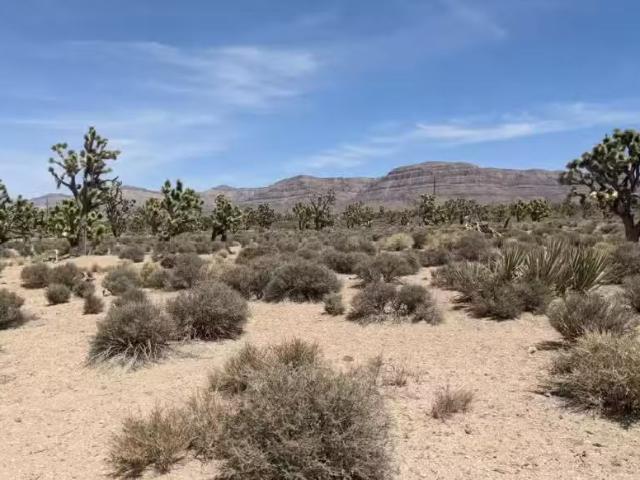 26681 N Verde Rd, Meadview, AZ 86444 MLS 036132