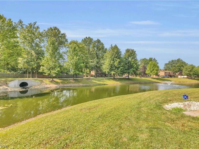 26636 Lake of the Falls Road