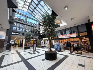 Walter-Heinze-Straße, Lindenau, Leipzig