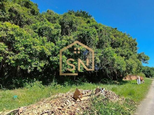 268T Terrenos em Pontal do Sul