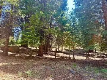 268 OSPREY LOOP, CHESTER, CA 96020