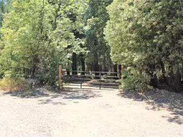 268 MILSAP BAR RD, BERRY CREEK, CA 95916
