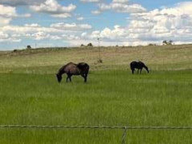 26 Colt Trail