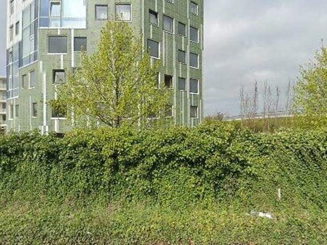26 m2 apartment for rent in Groningen