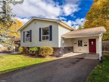 Brantford Town, Ontario - Patio, Fireplace