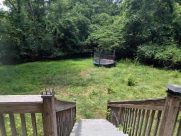 270 Cleveland Street