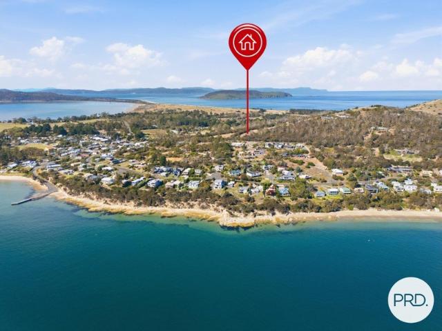 270 Degrees of Pure Inspiration: South Arm's Ultimate Canvas