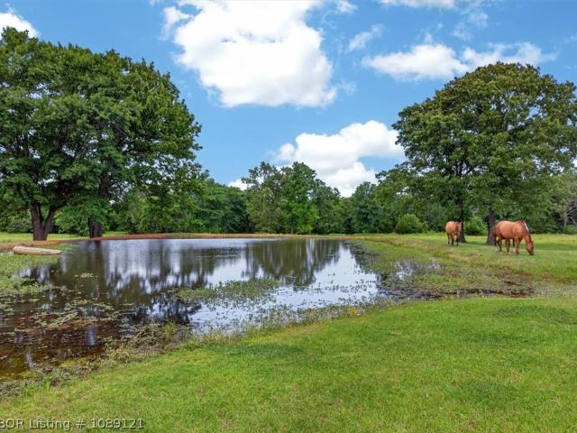 27154 Nubbin Ridge