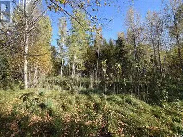 271 Southshore Drive, Emma Lake, SK, S0J 0N0 vacant land for.
