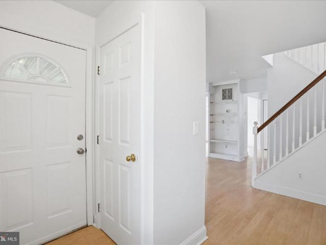 271 Paw Drive