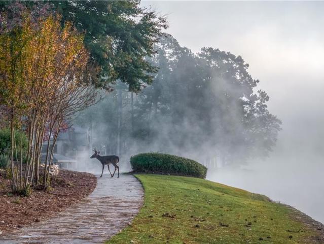 271 Quail Run