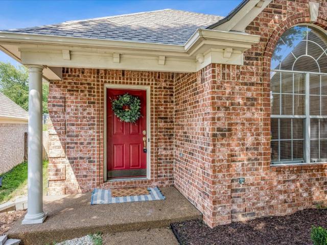 2724 green turtle trl